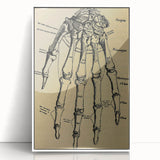 Grunge Wall Art - Vintage Anatomical Hand Illustration - Grunge Aesthetic Art