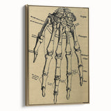Grunge Wall Art - Vintage Anatomical Hand Illustration - Grunge Aesthetic Art