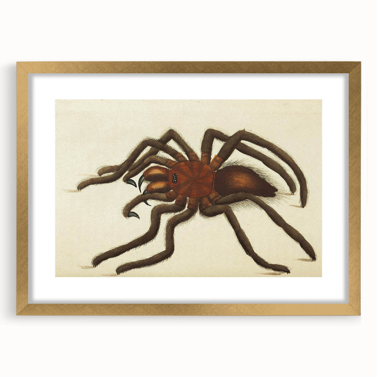 Grunge Spider Illustration - Vintage Grunge Aesthetic Canvas Print