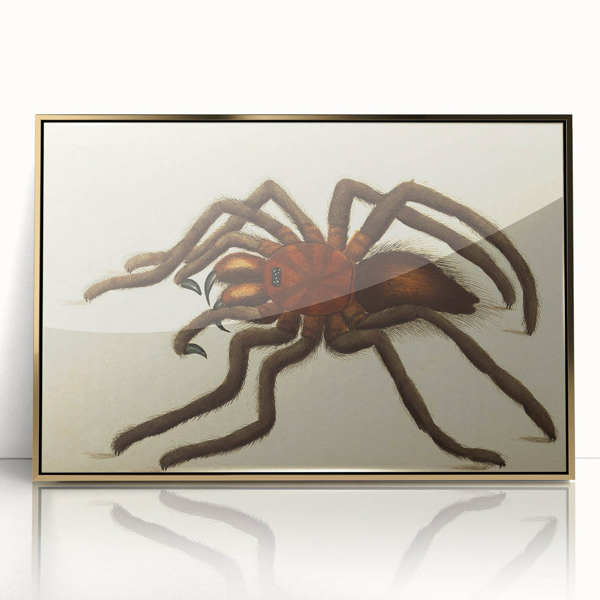 Grunge Spider Illustration - Vintage Grunge Aesthetic Canvas Print