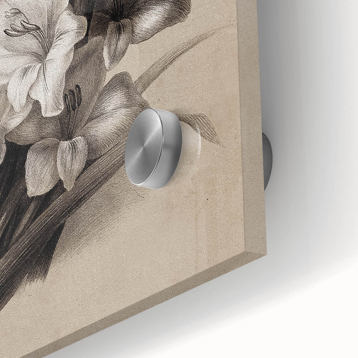 Vintage Floral Grunge Art - Distressed Black and White Canvas Print