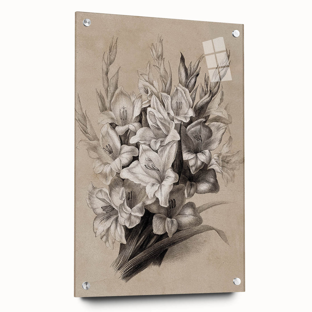 Vintage Floral Grunge Art - Distressed Black and White Canvas Print