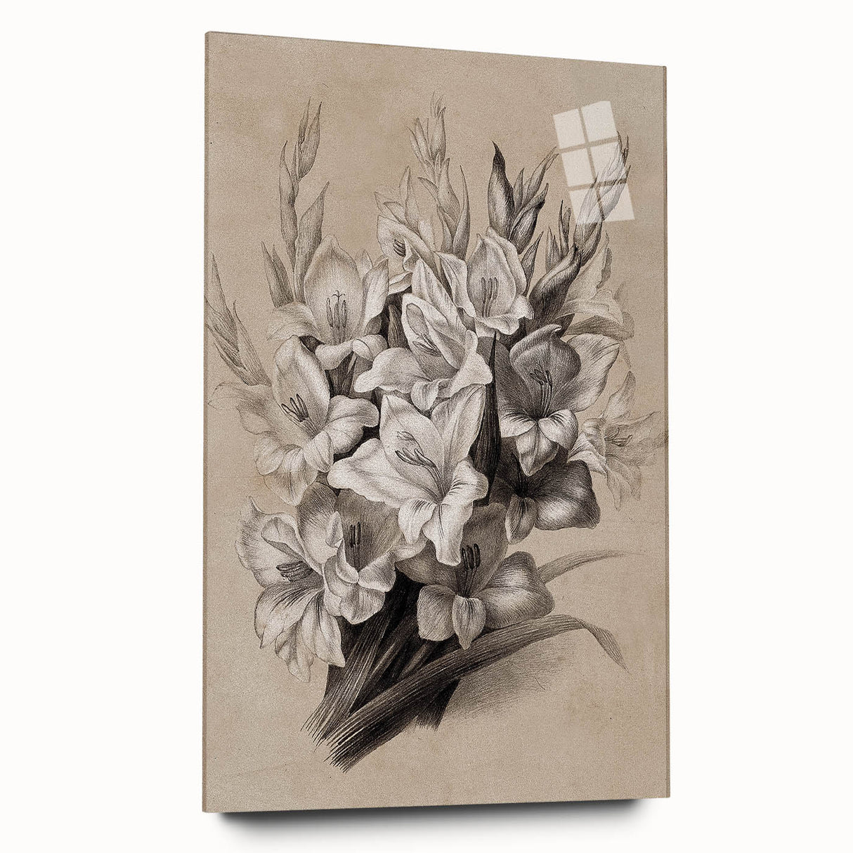Vintage Floral Grunge Art - Distressed Black and White Canvas Print