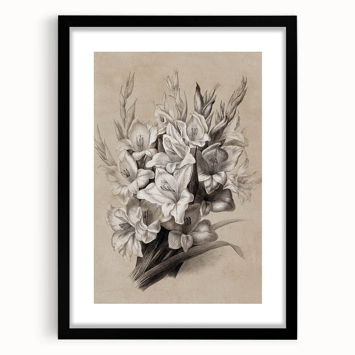 Vintage Floral Grunge Art - Distressed Black and White Canvas Print
