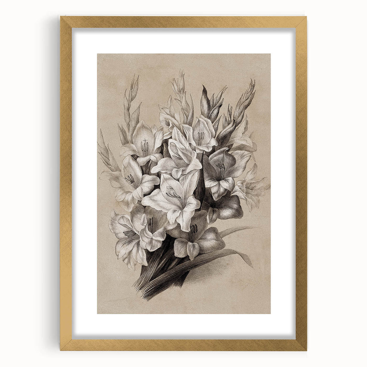 Vintage Floral Grunge Art - Distressed Black and White Canvas Print