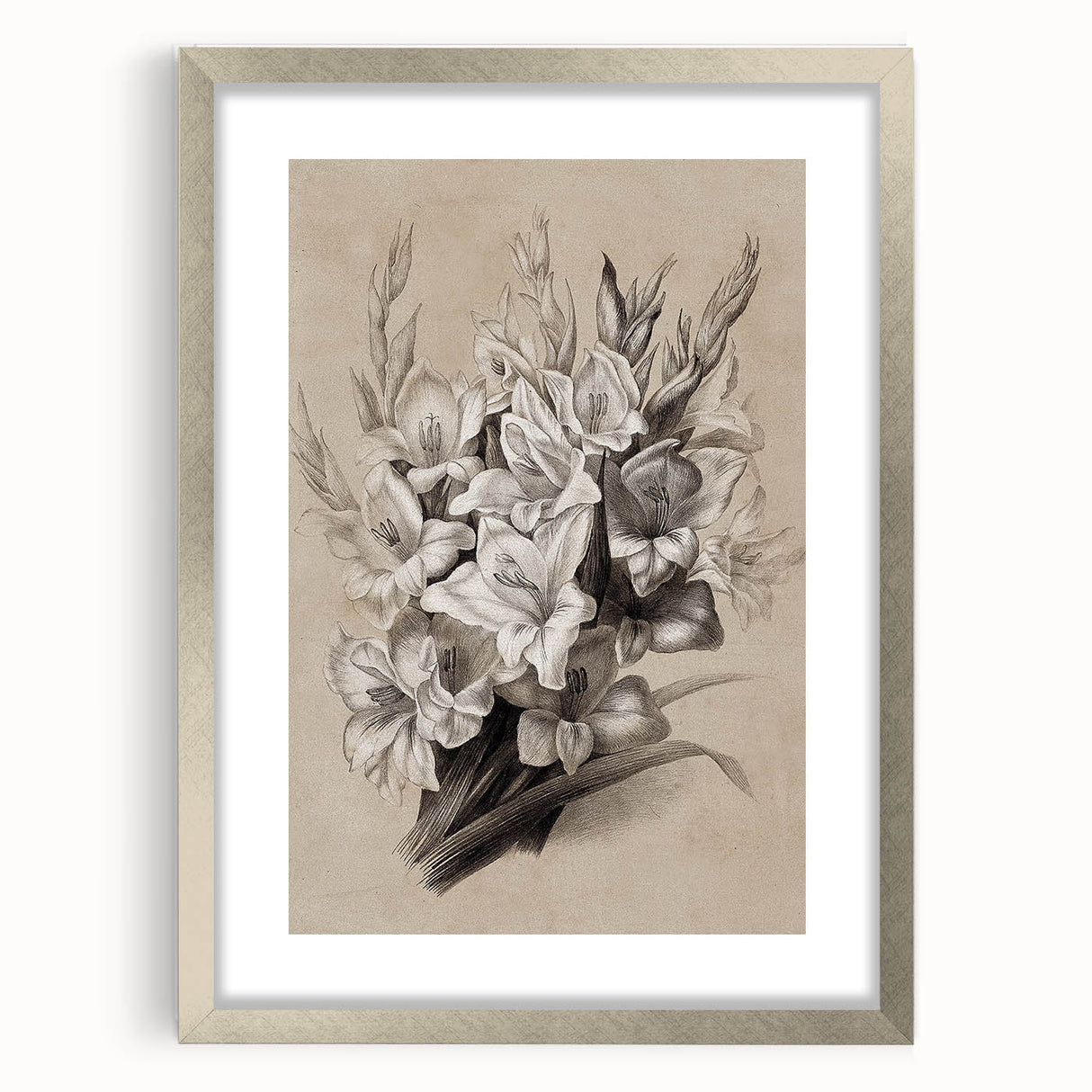 Vintage Floral Grunge Art - Distressed Black and White Canvas Print