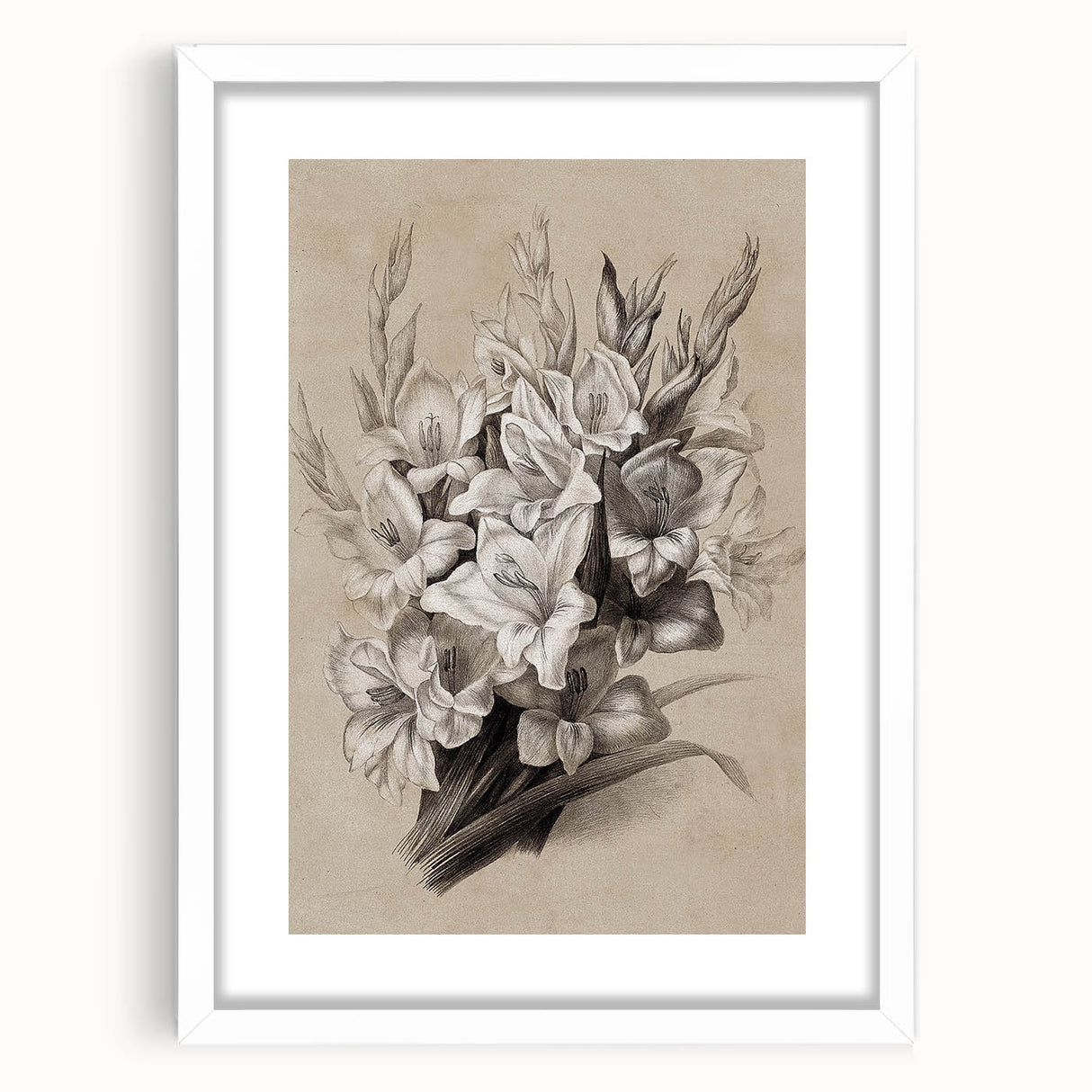 Vintage Floral Grunge Art - Distressed Black and White Canvas Print