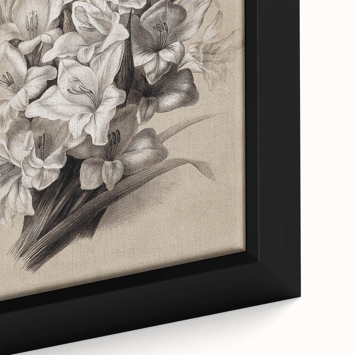 Vintage Floral Grunge Art - Distressed Black and White Canvas Print