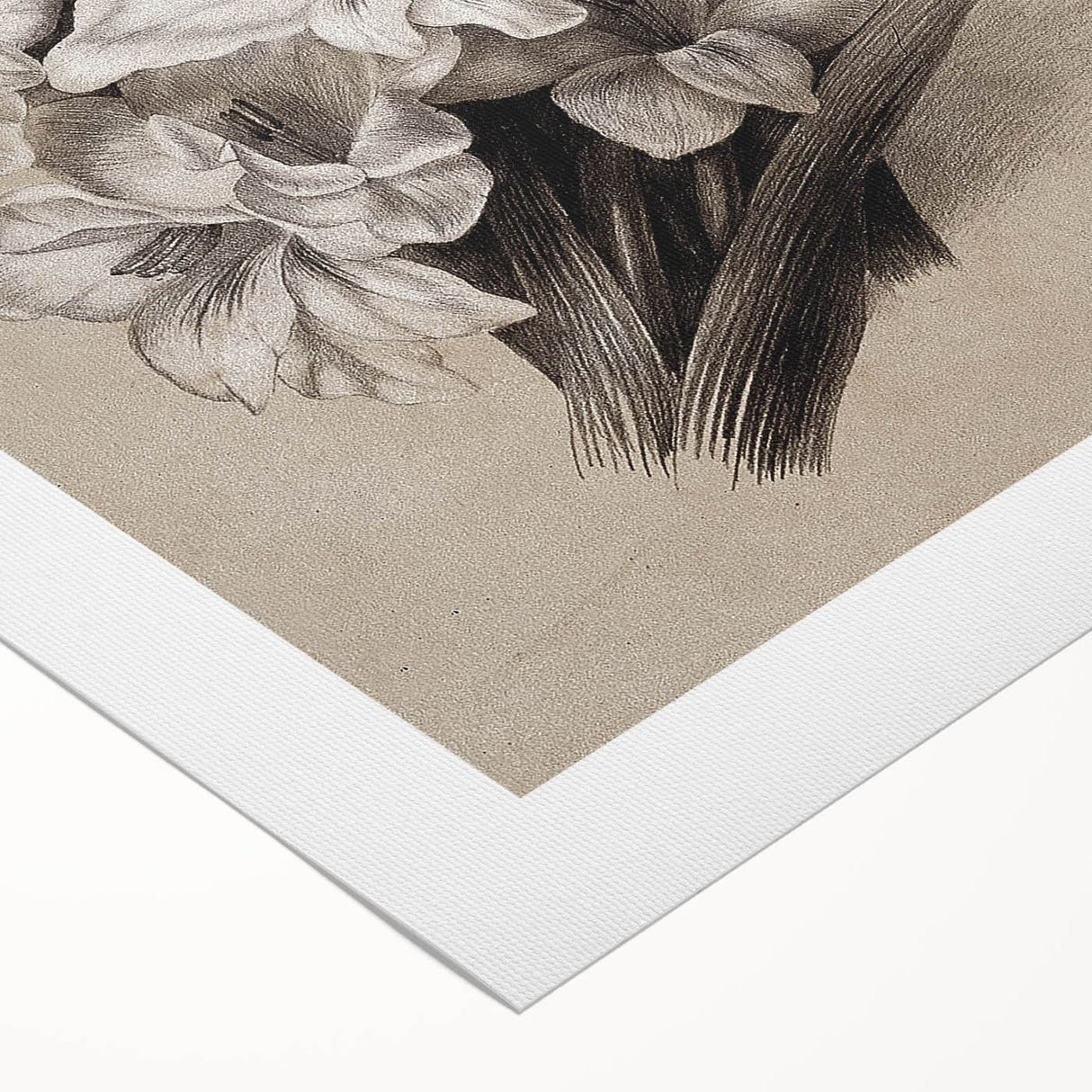 Vintage Floral Grunge Art - Distressed Black and White Canvas Print
