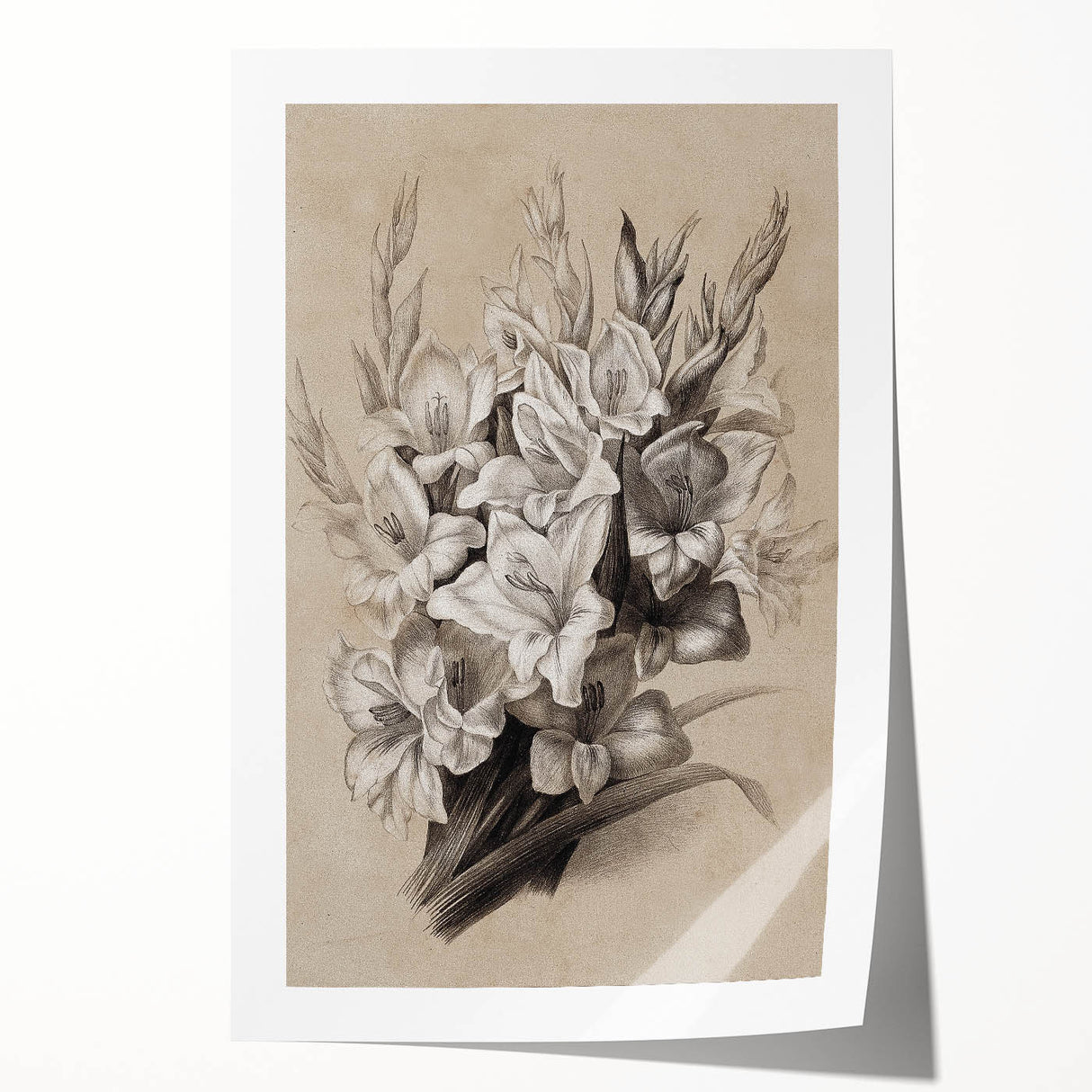 Vintage Floral Grunge Art - Distressed Black and White Canvas Print