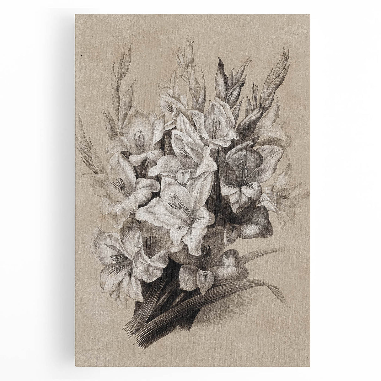 Vintage Floral Grunge Art - Distressed Black and White Canvas Print