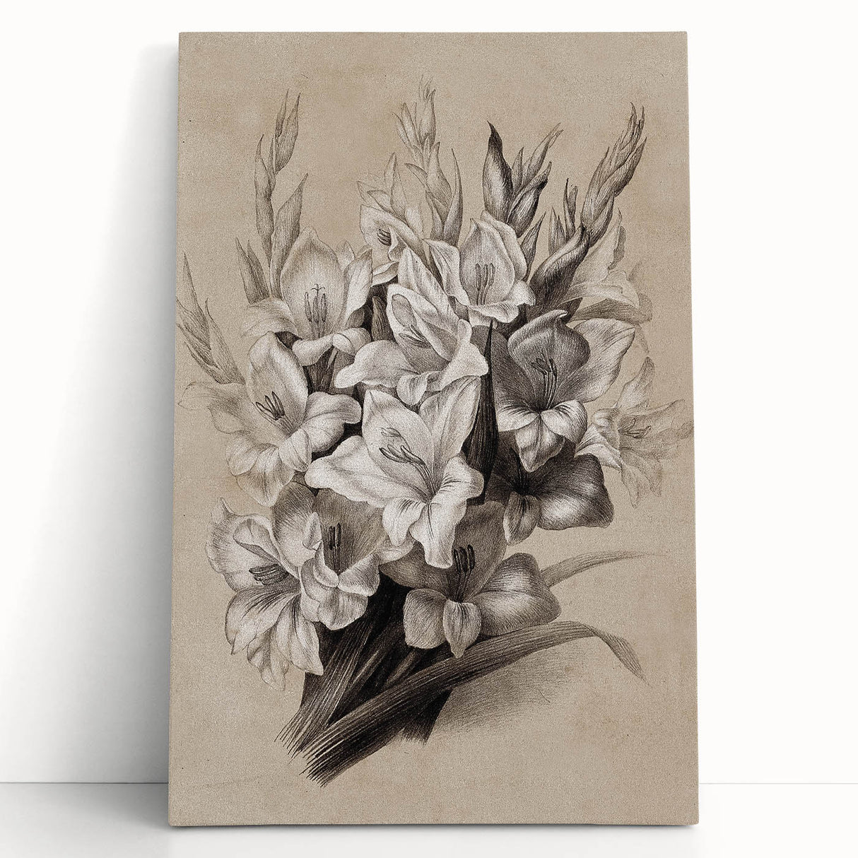 Vintage Floral Grunge Art - Distressed Black and White Canvas Print