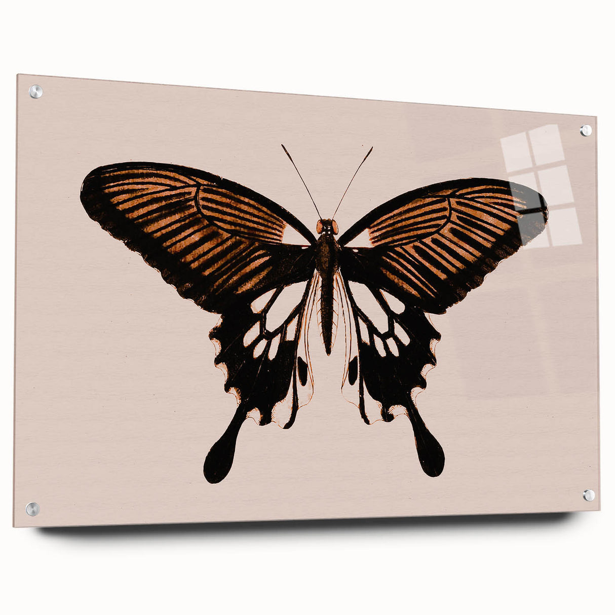 Urban Grunge Art | Grunge Butterfly Wall Art | Modern Grunge Canvas Print