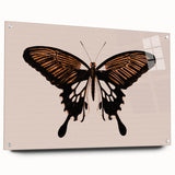 Urban Grunge Art | Grunge Butterfly Wall Art | Modern Grunge Canvas Print