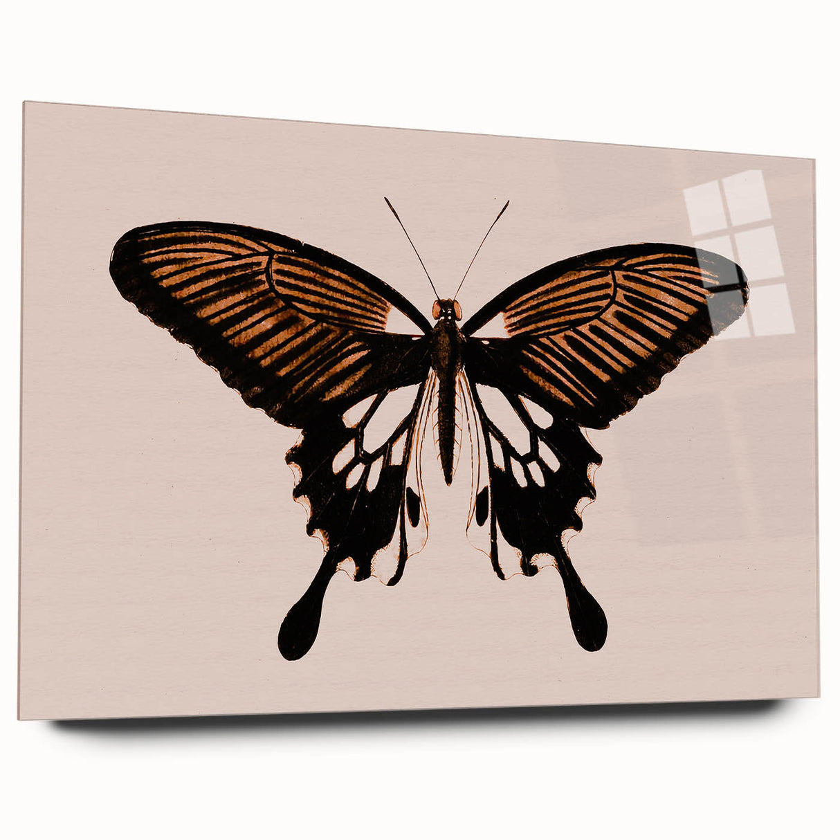 Urban Grunge Art | Grunge Butterfly Wall Art | Modern Grunge Canvas Print