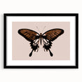 Urban Grunge Art | Grunge Butterfly Wall Art | Modern Grunge Canvas Print