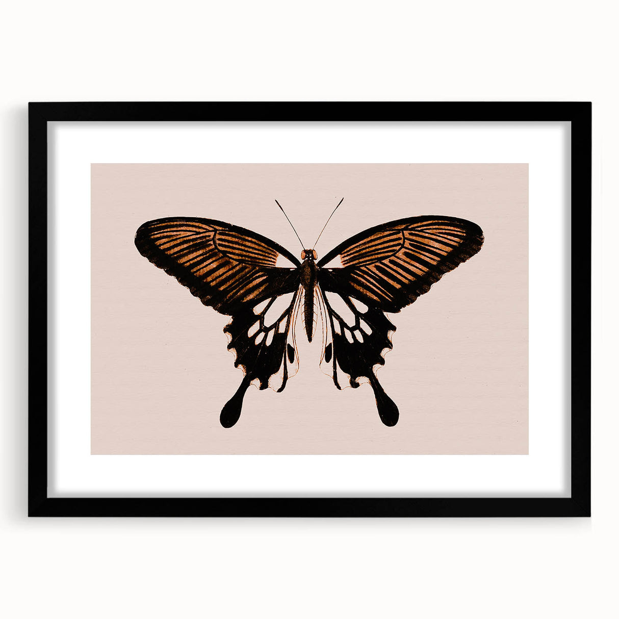 Urban Grunge Art | Grunge Butterfly Wall Art | Modern Grunge Canvas Print