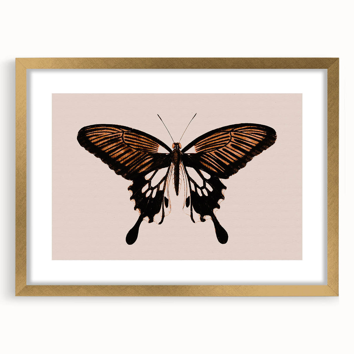 Urban Grunge Art | Grunge Butterfly Wall Art | Modern Grunge Canvas Print