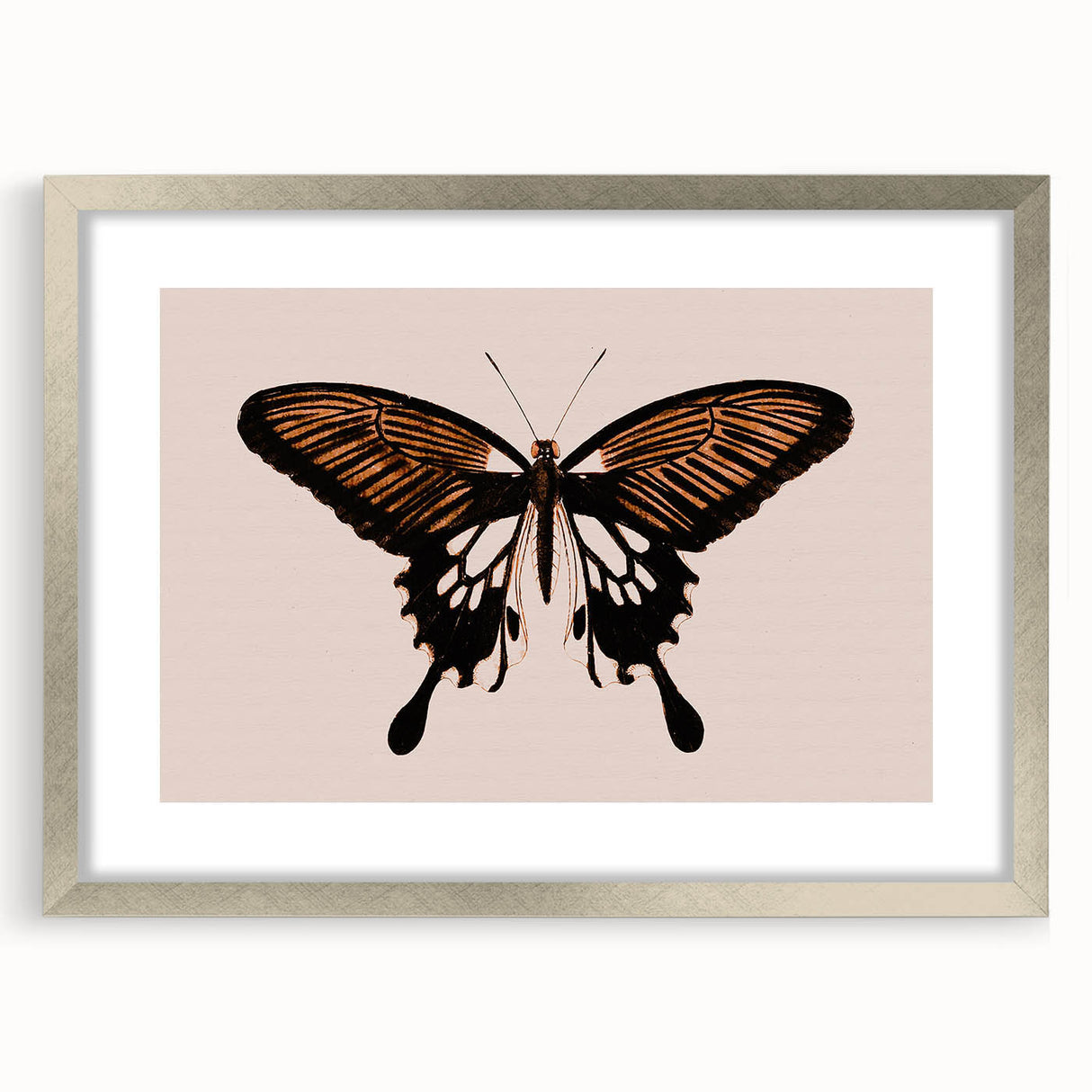 Urban Grunge Art | Grunge Butterfly Wall Art | Modern Grunge Canvas Print