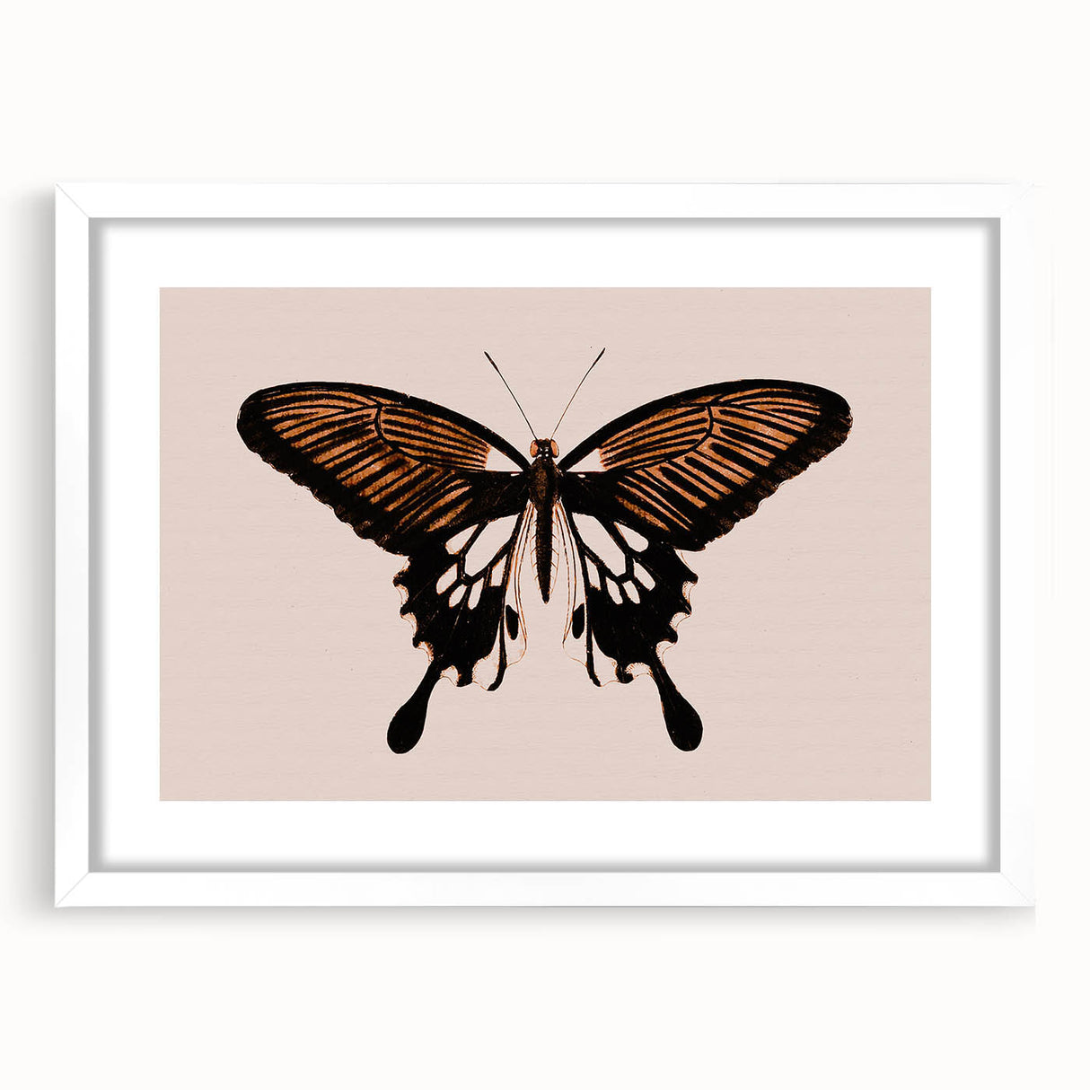Urban Grunge Art | Grunge Butterfly Wall Art | Modern Grunge Canvas Print