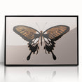 Urban Grunge Art | Grunge Butterfly Wall Art | Modern Grunge Canvas Print