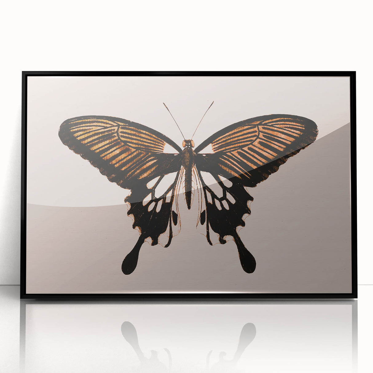 Urban Grunge Art | Grunge Butterfly Wall Art | Modern Grunge Canvas Print