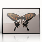 Urban Grunge Art | Grunge Butterfly Wall Art | Modern Grunge Canvas Print