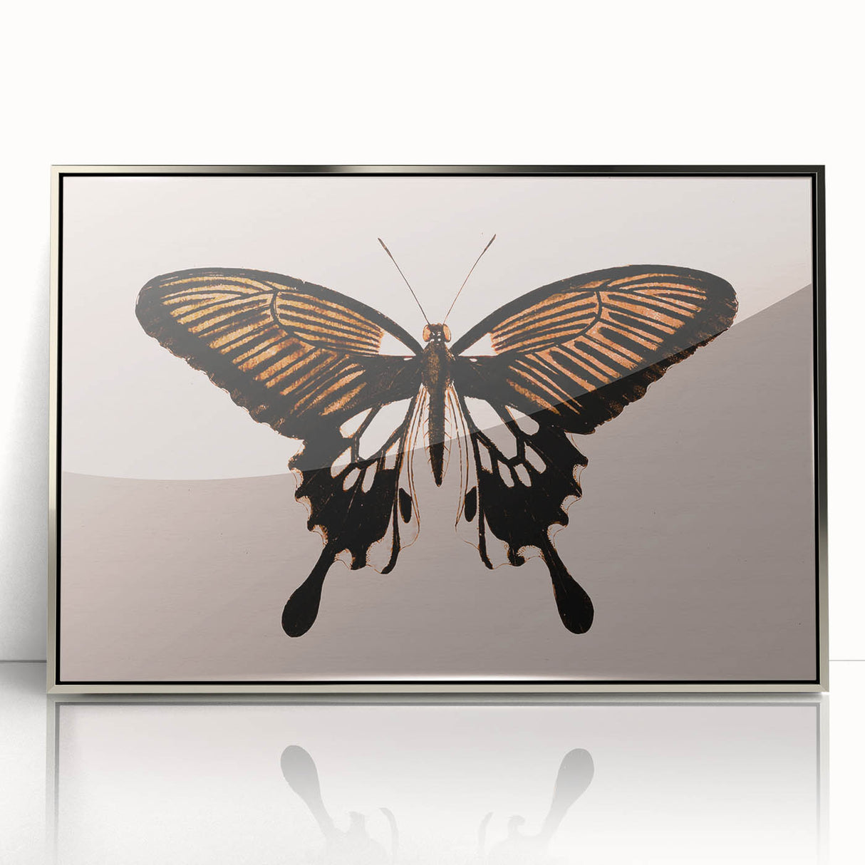 Urban Grunge Art | Grunge Butterfly Wall Art | Modern Grunge Canvas Print