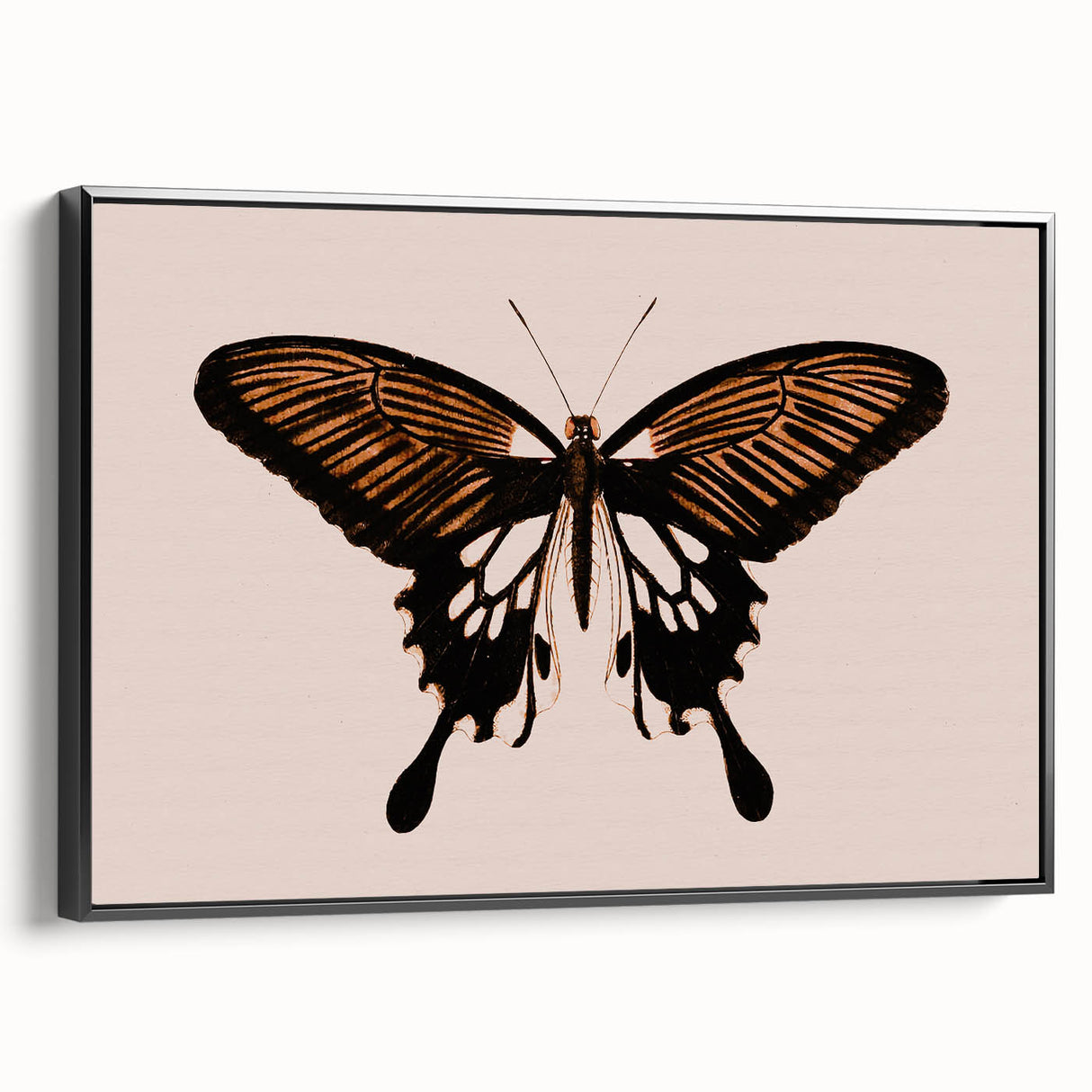 Urban Grunge Art | Grunge Butterfly Wall Art | Modern Grunge Canvas Print