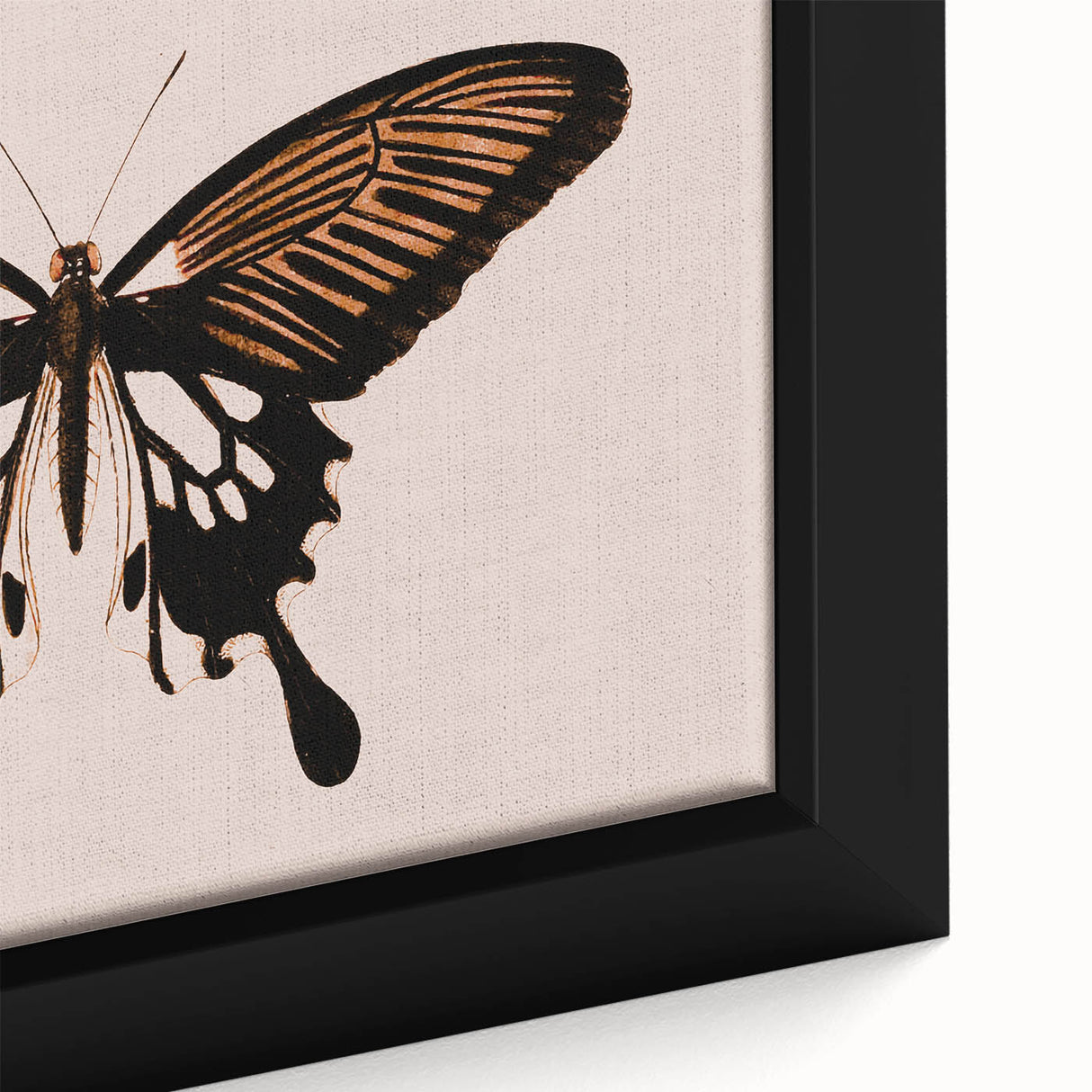 Urban Grunge Art | Grunge Butterfly Wall Art | Modern Grunge Canvas Print