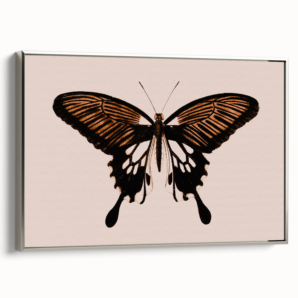 Urban Grunge Art | Grunge Butterfly Wall Art | Modern Grunge Canvas Print