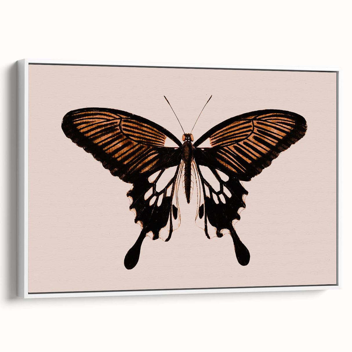 Urban Grunge Art | Grunge Butterfly Wall Art | Modern Grunge Canvas Print
