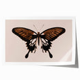 Urban Grunge Art | Grunge Butterfly Wall Art | Modern Grunge Canvas Print