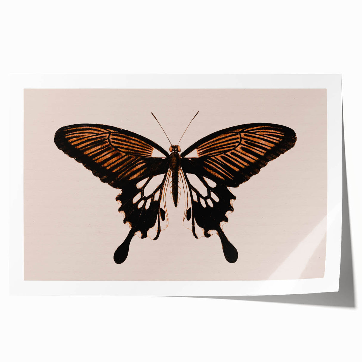 Urban Grunge Art | Grunge Butterfly Wall Art | Modern Grunge Canvas Print