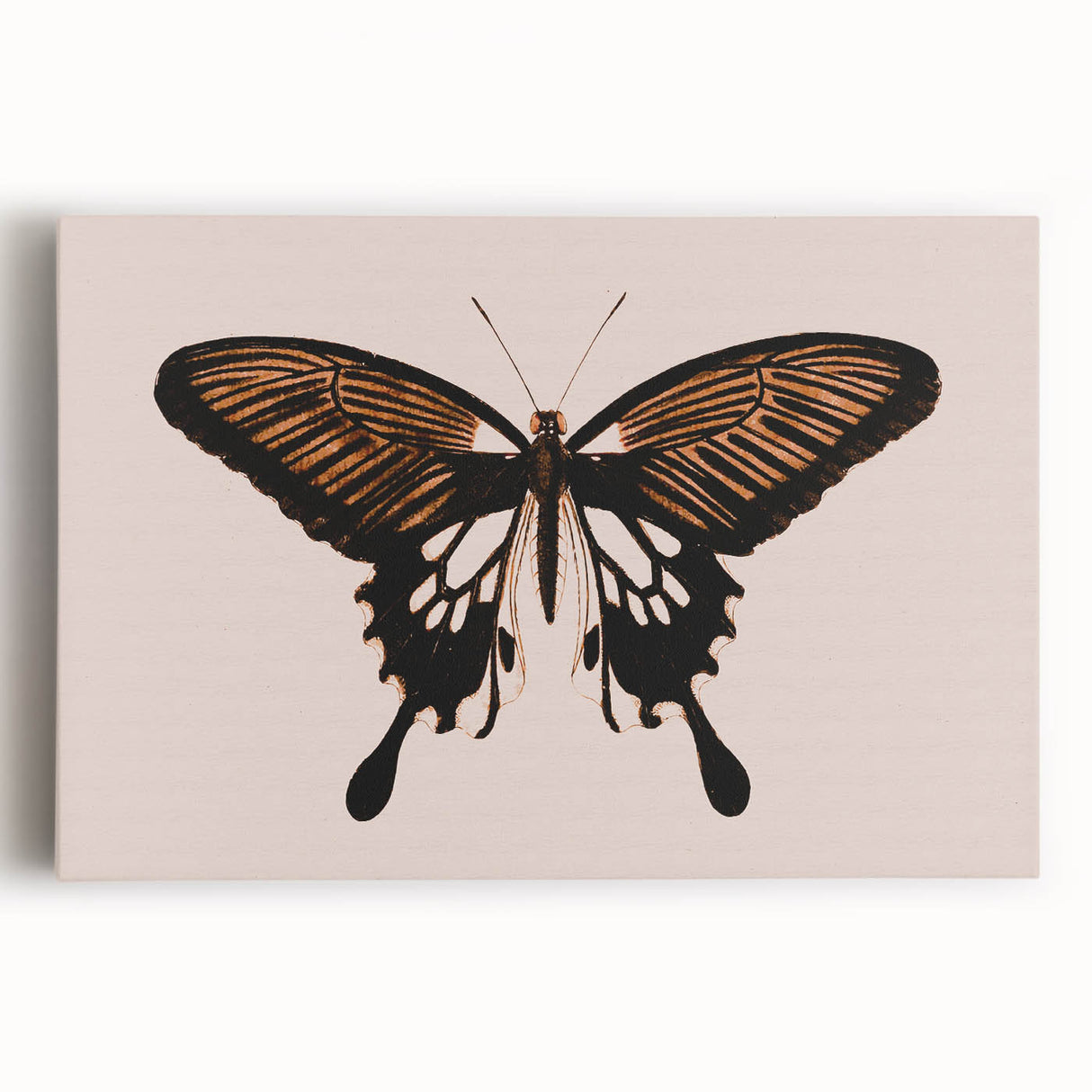 Urban Grunge Art | Grunge Butterfly Wall Art | Modern Grunge Canvas Print