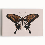 Urban Grunge Art | Grunge Butterfly Wall Art | Modern Grunge Canvas Print