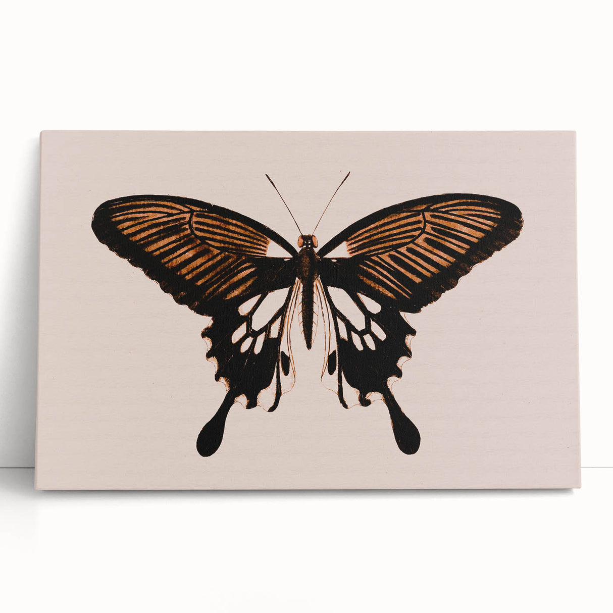 Urban Grunge Art | Grunge Butterfly Wall Art | Modern Grunge Canvas Print