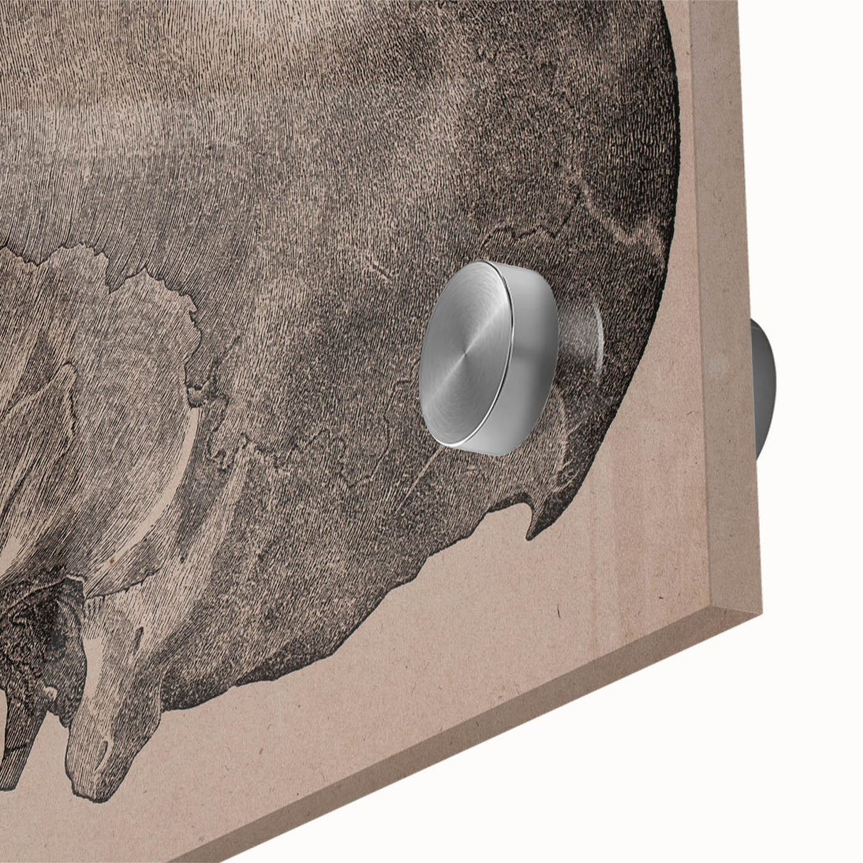 Grunge Skull Wall Art | Urban Grunge Aesthetic Art | Vintage Skull Print