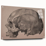 Grunge Skull Wall Art | Urban Grunge Aesthetic Art | Vintage Skull Print