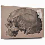 Grunge Skull Wall Art | Urban Grunge Aesthetic Art | Vintage Skull Print