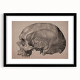 Grunge Skull Wall Art | Urban Grunge Aesthetic Art | Vintage Skull Print