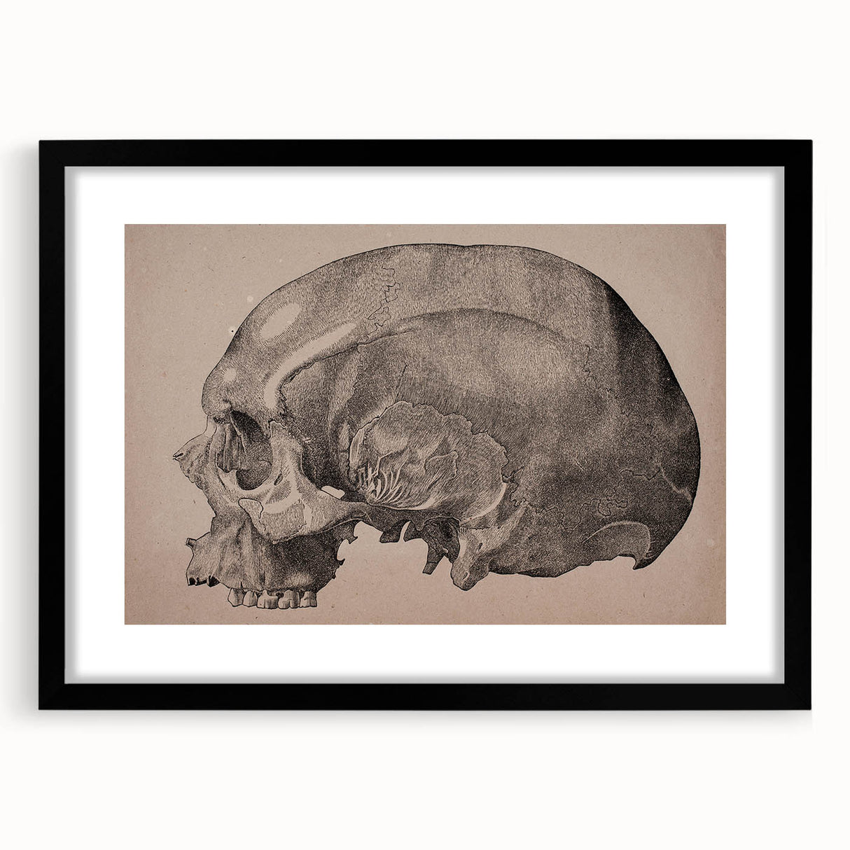 Grunge Skull Wall Art | Urban Grunge Aesthetic Art | Vintage Skull Print