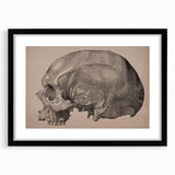 Grunge Skull Wall Art | Urban Grunge Aesthetic Art | Vintage Skull Print