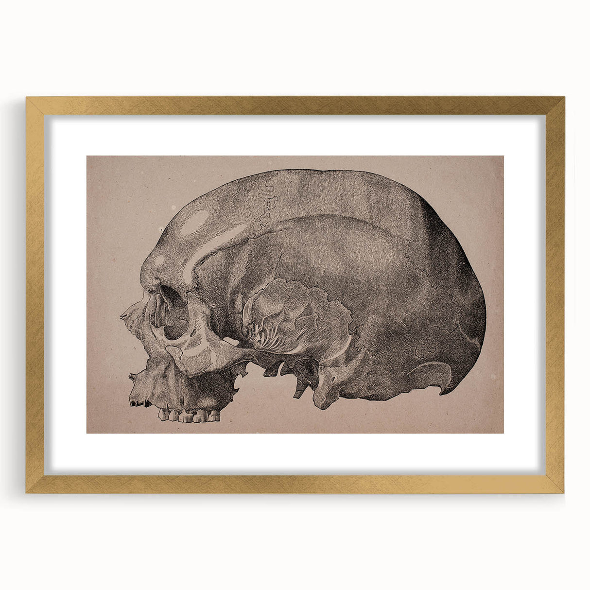 Grunge Skull Wall Art | Urban Grunge Aesthetic Art | Vintage Skull Print