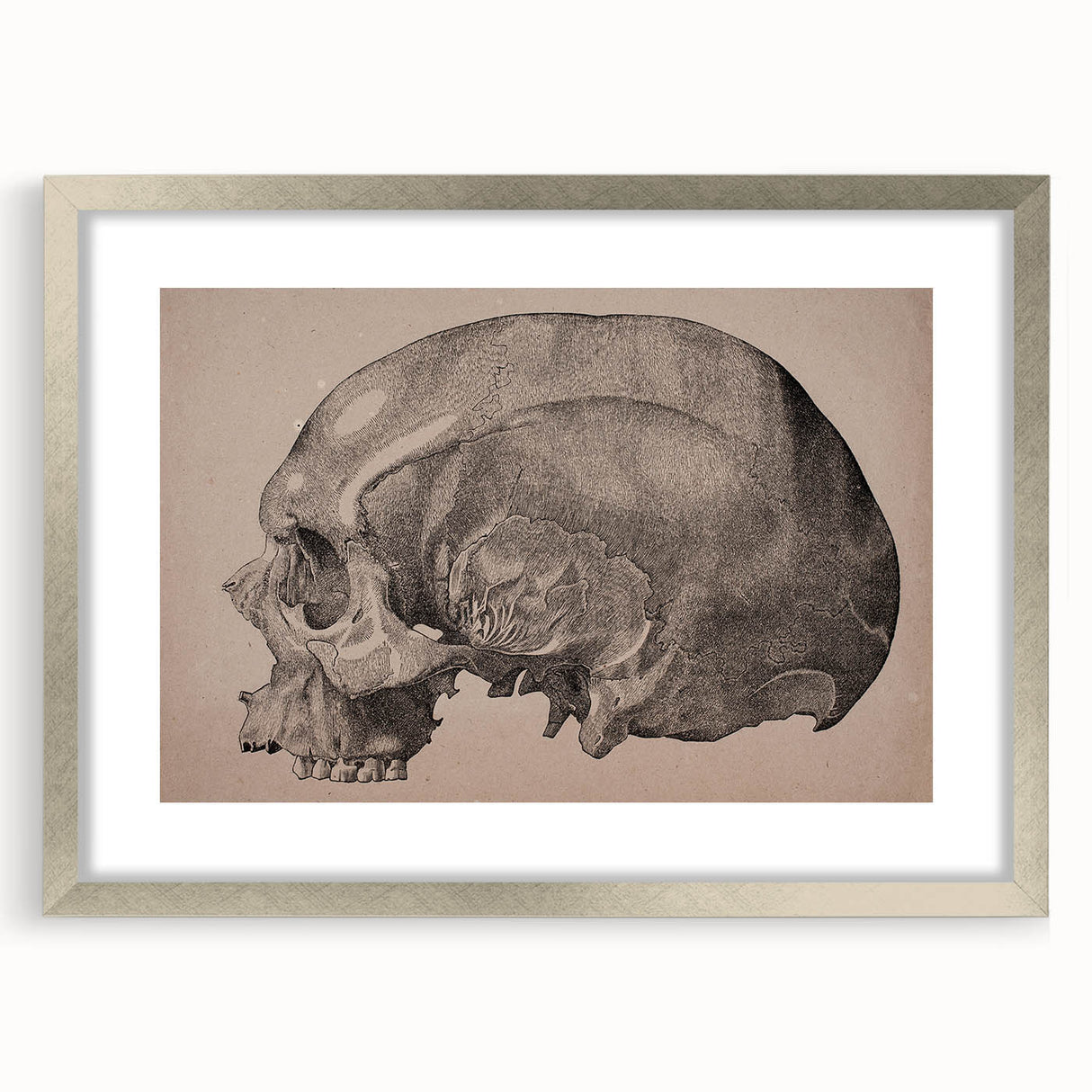 Grunge Skull Wall Art | Urban Grunge Aesthetic Art | Vintage Skull Print