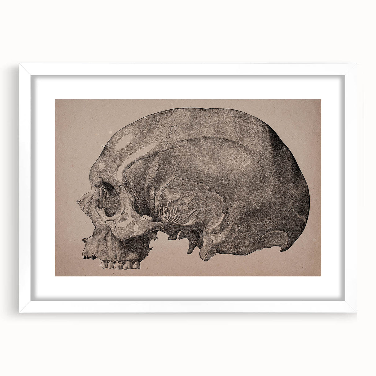 Grunge Skull Wall Art | Urban Grunge Aesthetic Art | Vintage Skull Print