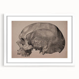 Grunge Skull Wall Art | Urban Grunge Aesthetic Art | Vintage Skull Print