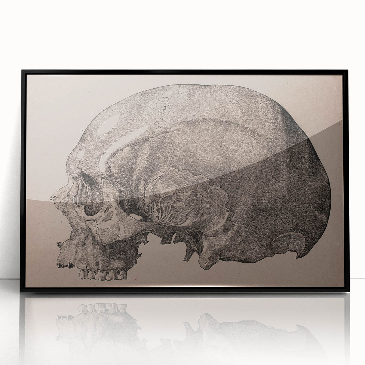 Grunge Skull Wall Art | Urban Grunge Aesthetic Art | Vintage Skull Print