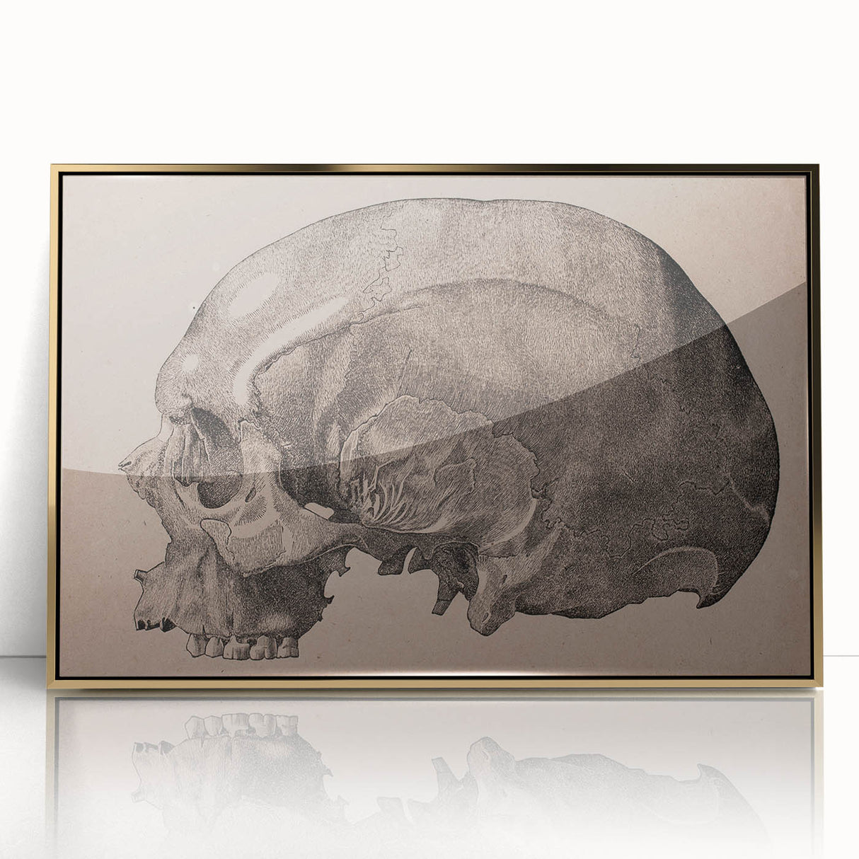 Grunge Skull Wall Art | Urban Grunge Aesthetic Art | Vintage Skull Print