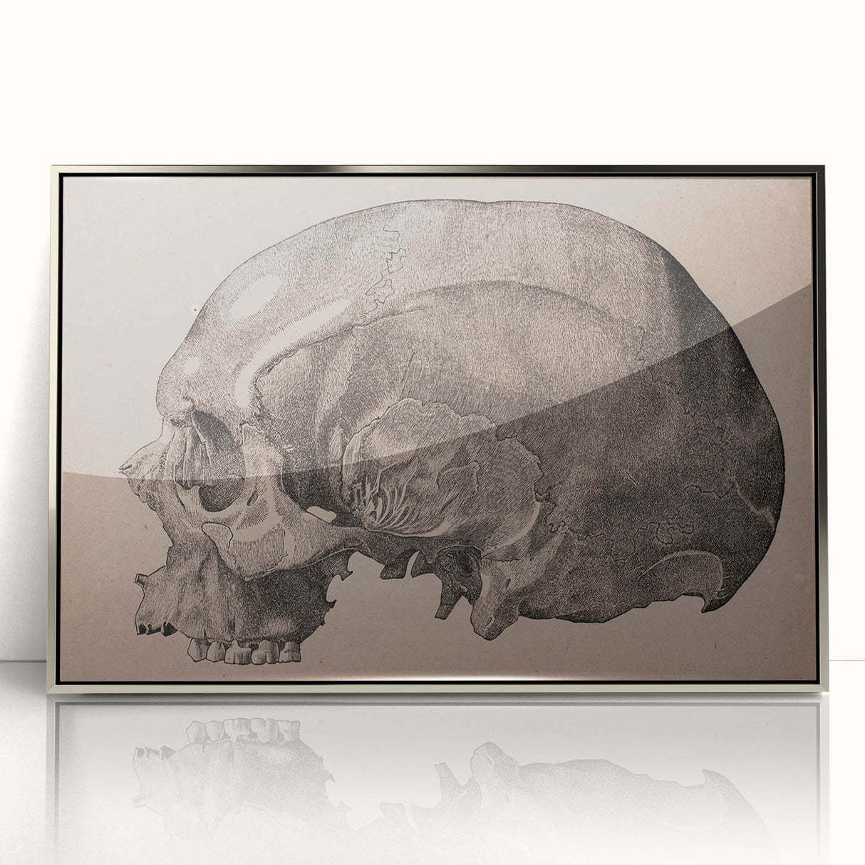 Grunge Skull Wall Art | Urban Grunge Aesthetic Art | Vintage Skull Print